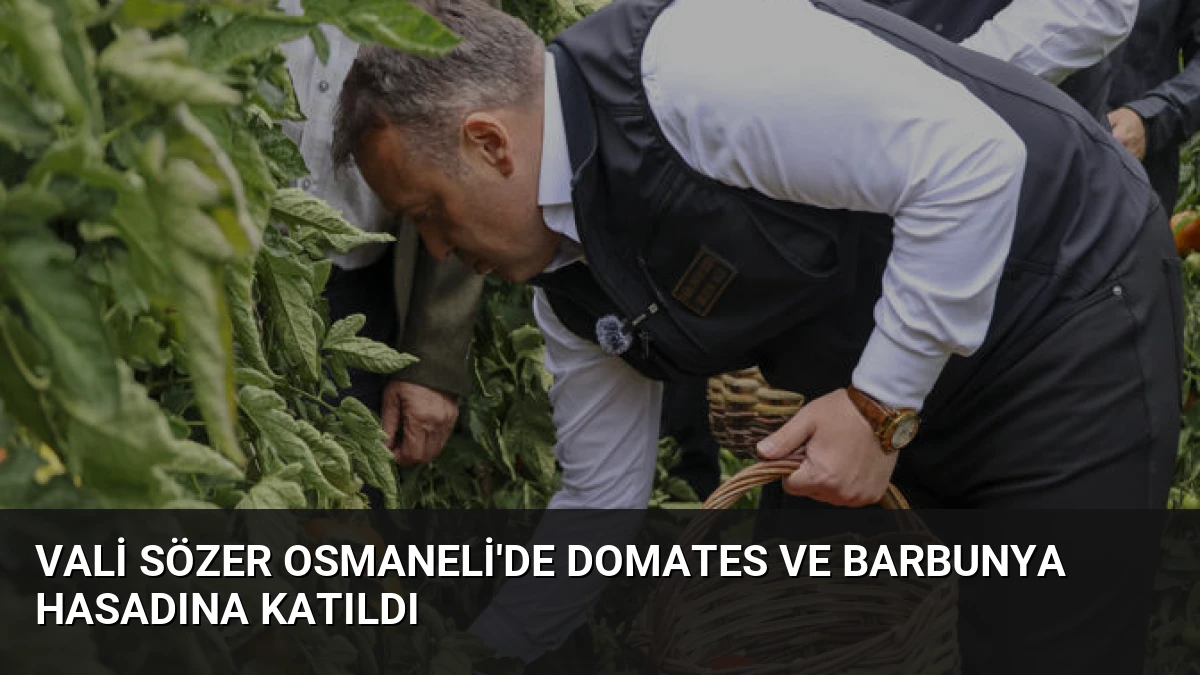 Vali Sözer Osmaneli’de Domates ve Barbunya Hasadına Katıldı
